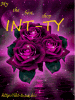int-ty